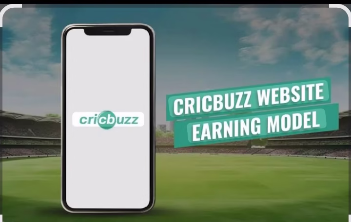 how cricbuzz earn money