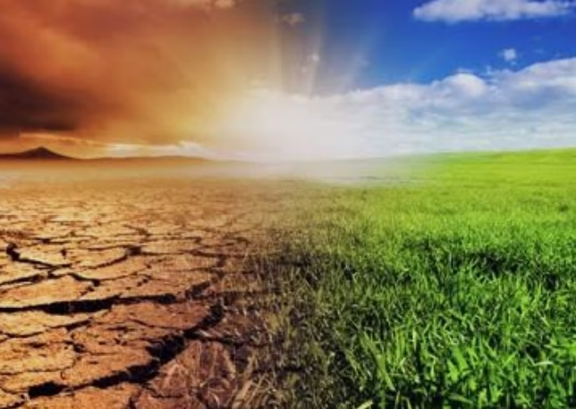 which weather app is most accurate