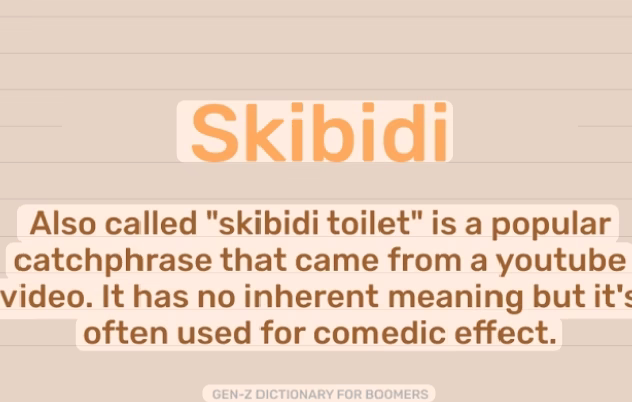 why the so skibidi meaning